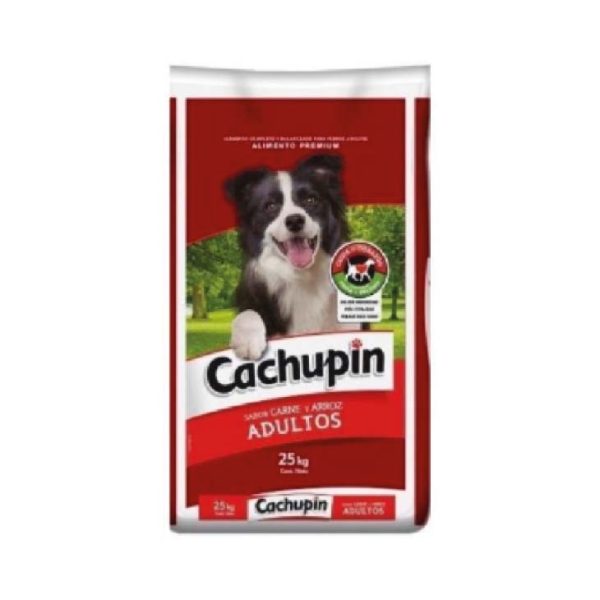 CACHUPIN ADULTO SABOR CARNE 25 K